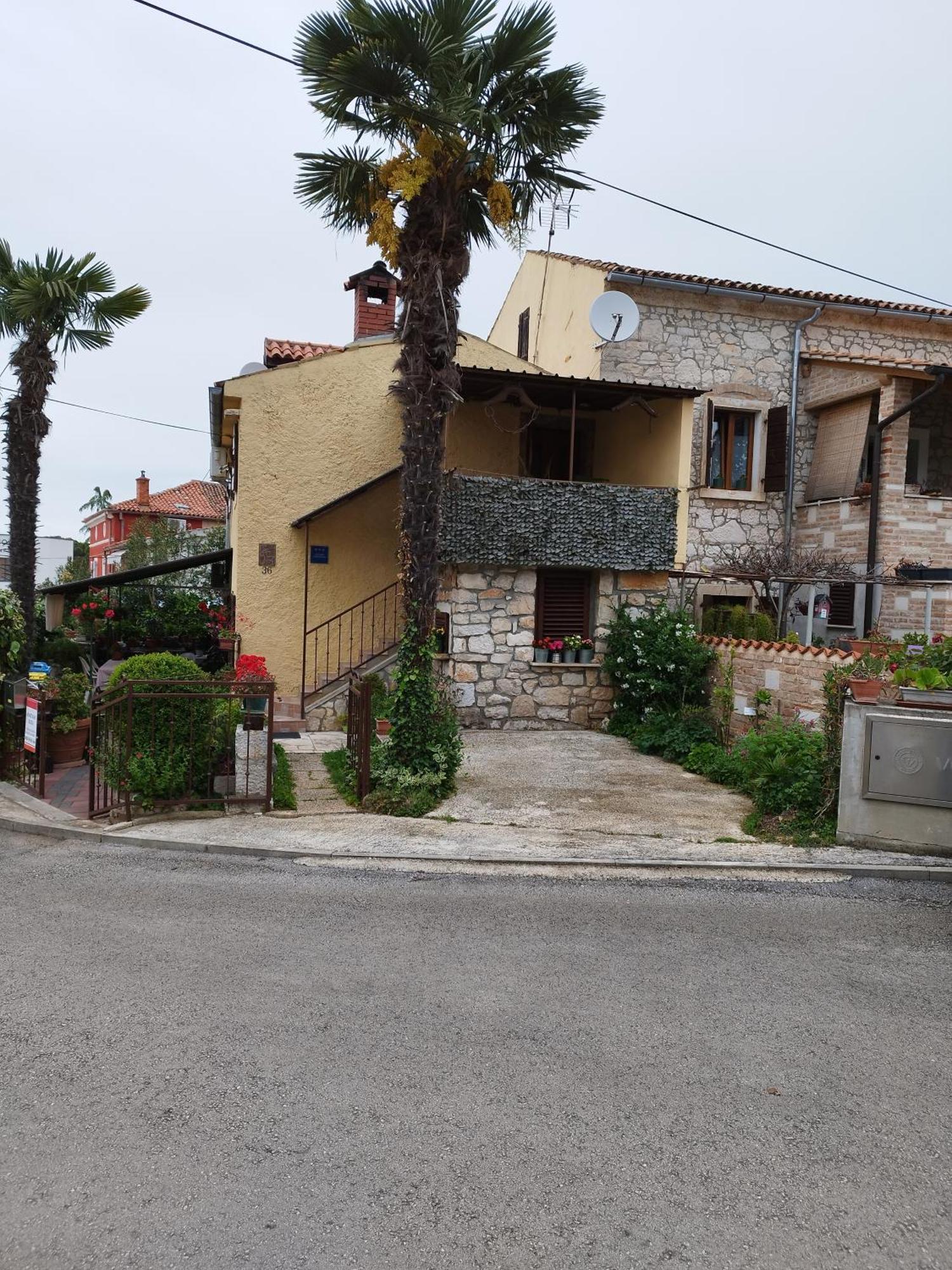 Koza 100m From The Apartment *